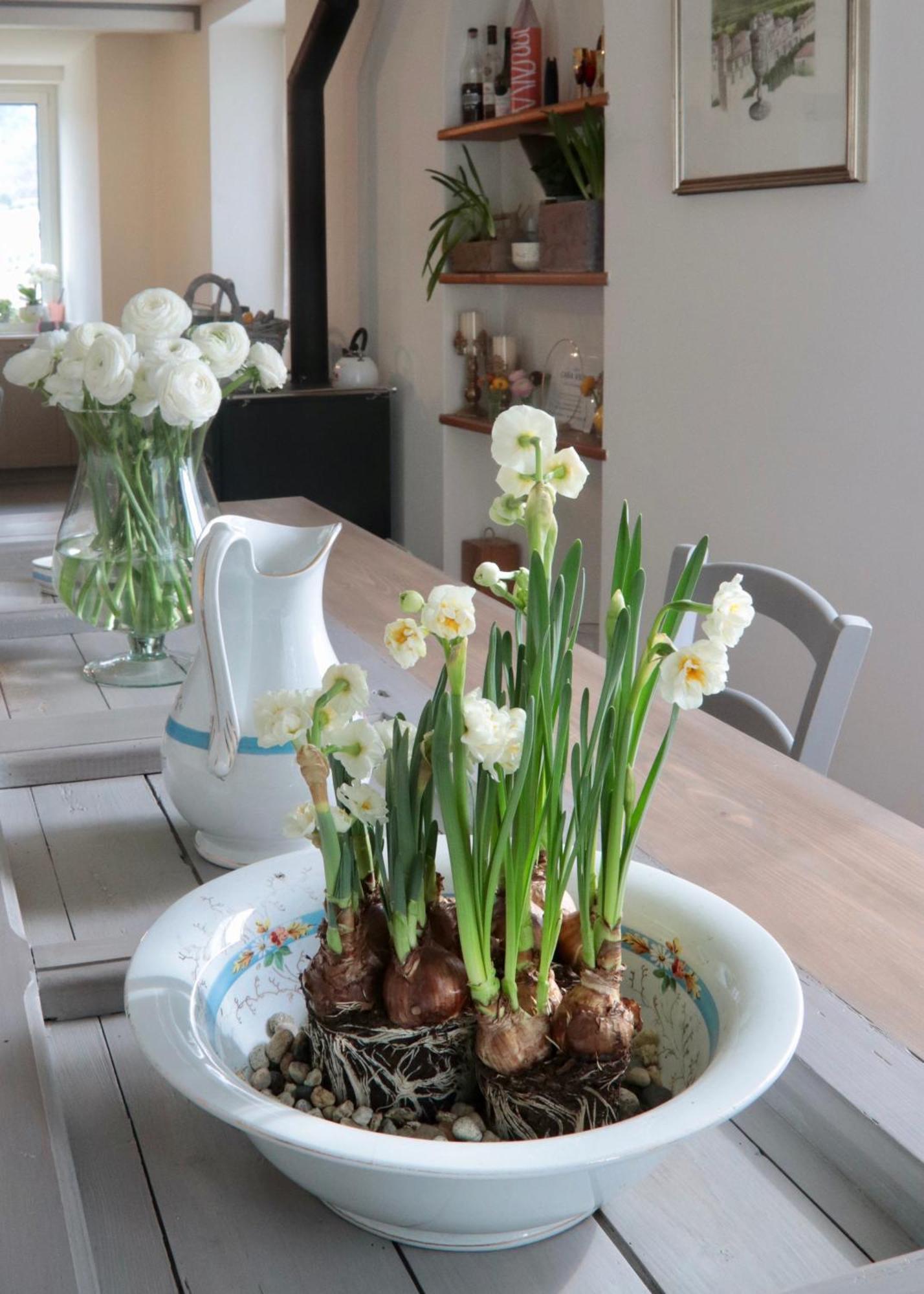 Casa Viola Bed And Breakfast Dimora Di Campagna Calice Ligure Dış mekan fotoğraf